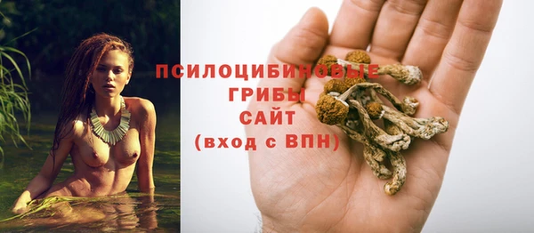 шишки Рославль