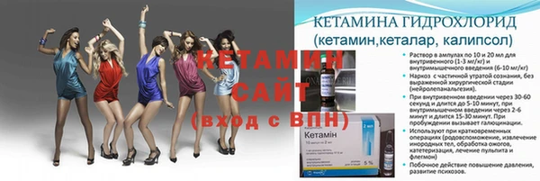 сатива Пролетарск