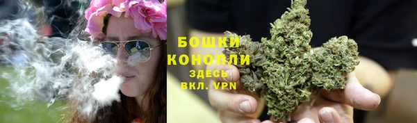 амф Россошь