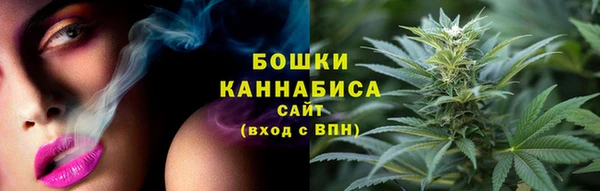 сатива Пролетарск