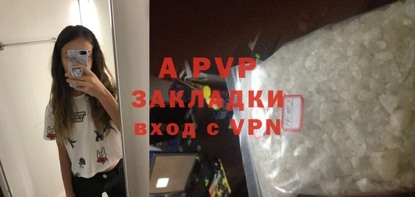 СК Протвино