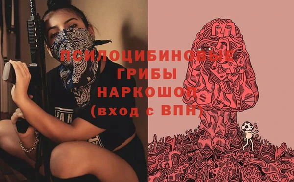 амф Россошь