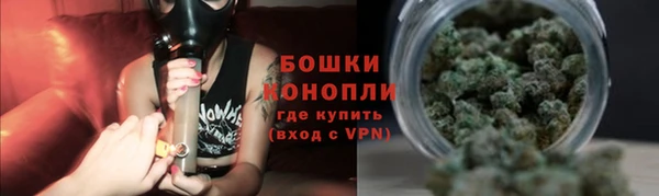 СК Протвино