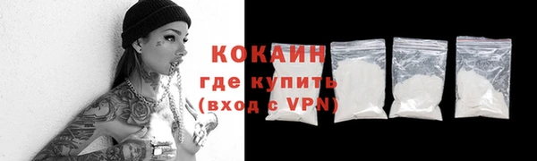 шишки Рославль