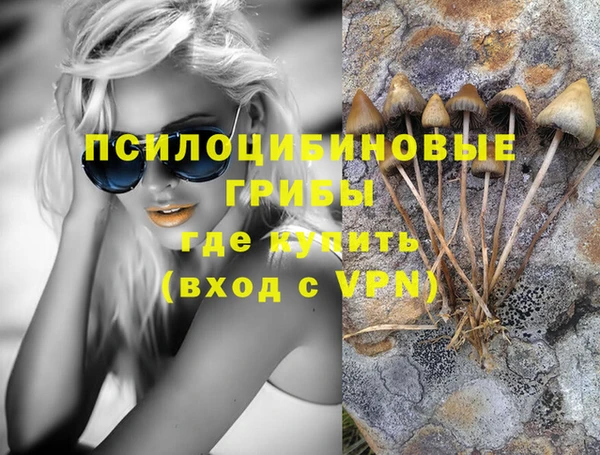 шишки Рославль