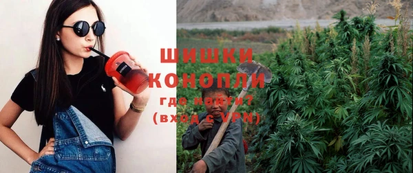 СК Протвино