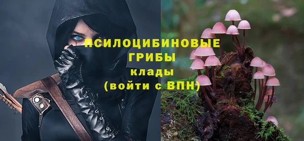 сатива Пролетарск