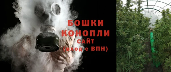 амф Россошь