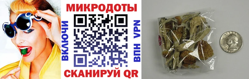 Псилоцибиновые грибы Psilocybine cubensis  Купить где  Щёкино 
